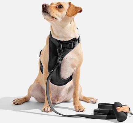 Show full view: Wild One Adjustable Cushioned Dog Harness, Black, Medium slide 4 of 8