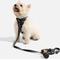 Show in main carousel: Wild One Adjustable Cushioned Dog Harness, Black, Small slide 3 of 7