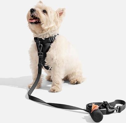 Show full view: Wild One Adjustable Cushioned Dog Harness, Black, Small slide 3 of 7