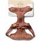 Show in main carousel: Wild One Adjustable Cushioned Dog Harness, Cocoa, Large slide 2 of 7
