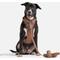 Show in main carousel: Wild One Adjustable Cushioned Dog Harness, Cocoa, Large slide 3 of 7