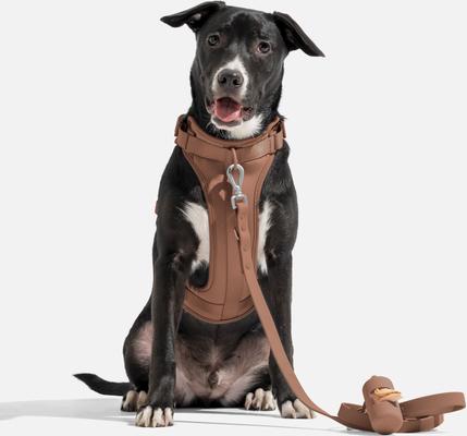 Show full view: Wild One Adjustable Cushioned Dog Harness, Cocoa, Large slide 3 of 7