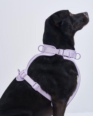Show full view: Wild One Adjustable Cushioned Dog Harness, Lilac, Large slide 3 of 8