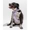 Show in main carousel: Wild One Adjustable Cushioned Dog Harness, Lilac, Medium slide 3 of 8