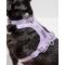 Show in main carousel: Wild One Adjustable Cushioned Dog Harness, Lilac, Medium slide 4 of 8