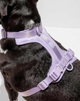 Show full view: Wild One Adjustable Cushioned Dog Harness, Lilac, Medium slide 4 of 8