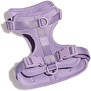 Wild One Adjustable Cushioned Dog Harness, Lilac, Small
