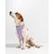 Show in main carousel: Wild One Adjustable Cushioned Dog Harness, Lilac, Small slide 3 of 8