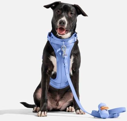 Wild One Adjustable Cushioned Dog Harness
