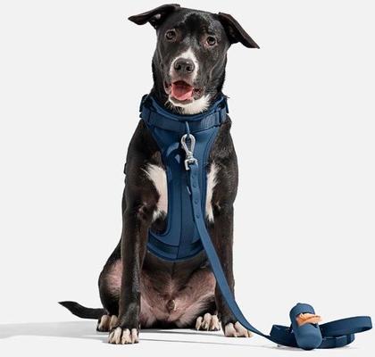 Show full view: Wild One Adjustable Cushioned Dog Harness, Navy, Large slide 3 of 7