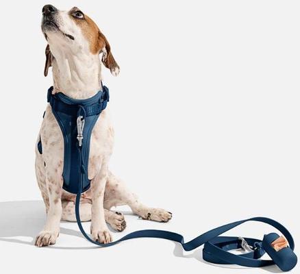 Show full view: Wild One Adjustable Cushioned Dog Harness, Navy, Medium slide 3 of 7