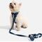 Show in main carousel: Wild One Adjustable Cushioned Dog Harness, Navy, Small slide 3 of 7