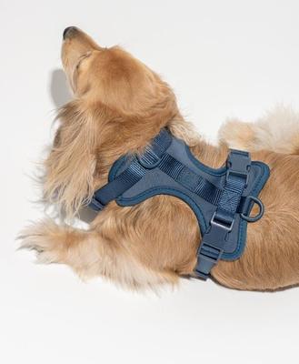 Show full view: Wild One Adjustable Cushioned Dog Harness, Navy, X-Small slide 3 of 8