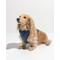 Show in main carousel: Wild One Adjustable Cushioned Dog Harness, Navy, X-Small slide 4 of 8