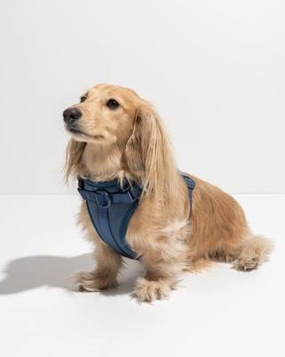 Show full view: Wild One Adjustable Cushioned Dog Harness, Navy, X-Small slide 4 of 8