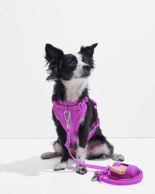 Show full view: Wild One Adjustable Cushioned Dog Harness, Orchid, Large slide 5 of 9