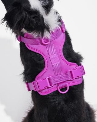 Show full view: Wild One Adjustable Cushioned Dog Harness, Orchid, Large slide 4 of 9