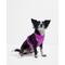 Show in main carousel: Wild One Adjustable Cushioned Dog Harness, Orchid, Large slide 3 of 9