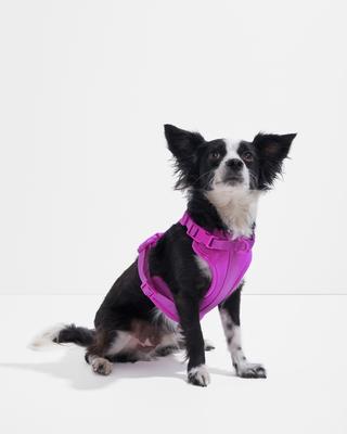 Show full view: Wild One Adjustable Cushioned Dog Harness, Orchid, X-Small slide 3 of 9