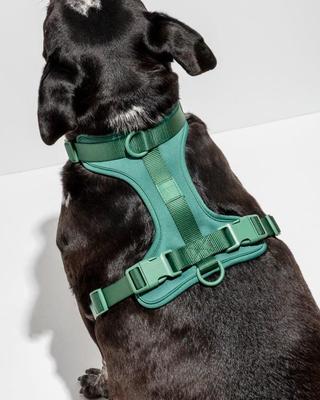 Show full view: Wild One Adjustable Cushioned Dog Harness, Spruce, Medium slide 4 of 8