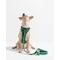 Show in main carousel: Wild One Adjustable Cushioned Dog Harness, Spruce, Small slide 3 of 7