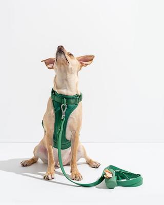 Show full view: Wild One Adjustable Cushioned Dog Harness, Spruce, Small slide 3 of 7