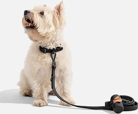 Show full view: Wild One Adjustable Waterproof Flex-Poly Coated Nylon Dog Collar, Black, Small slide 4 of 8