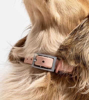 Show full view: Wild One Adjustable Waterproof Flex-Poly Coated Nylon Dog Collar, Blush, Large slide 5 of 10