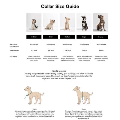 Show full view: Wild One Adjustable Waterproof Flex-Poly Coated Nylon Dog Collar, Blush, Large slide 7 of 10