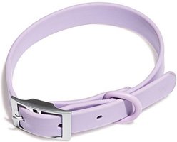 Wild One Adjustable Waterproof Flex-Poly Coated Nylon Dog Collar, Lilac, Medium