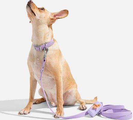 Show full view: Wild One Adjustable Waterproof Flex-Poly Coated Nylon Dog Collar, Lilac, Medium slide 4 of 8