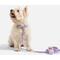 Show in main carousel: Wild One Adjustable Waterproof Flex-Poly Coated Nylon Dog Collar, Lilac, X-Small slide 4 of 8
