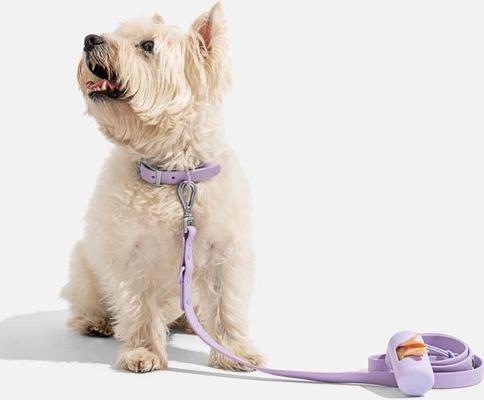 Show full view: Wild One Adjustable Waterproof Flex-Poly Coated Nylon Dog Collar, Lilac, X-Small slide 4 of 8