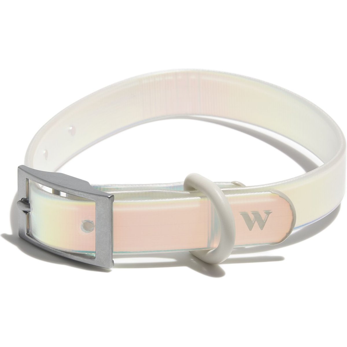 Wild One Adjustable Waterproof Flex-Poly Coated Nylon Dog Collar, Lunar, Small