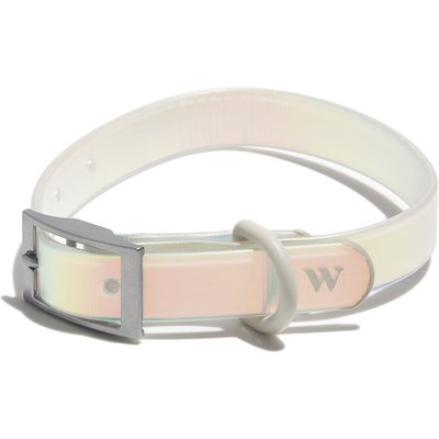 Wild One Wild One Adjustable Waterproof Flex-Poly Coated Nylon Dog Collar, Lunar, Small