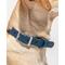 Show in main carousel: Wild One Adjustable Waterproof Flex-Poly Coated Nylon Dog Collar, Navy, Small slide 2 of 10