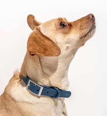 Show full view: Wild One Adjustable Waterproof Flex-Poly Coated Nylon Dog Collar, Navy, Small slide 4 of 10