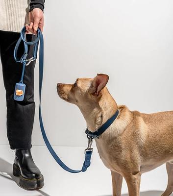 Show full view: Wild One Adjustable Waterproof Flex-Poly Coated Nylon Dog Collar, Navy, Small slide 5 of 10