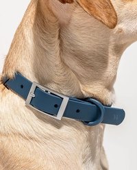 Wild One Adjustable Waterproof Flex-Poly Coated Nylon Dog Collar, Navy, X-Large slide 2 of 7