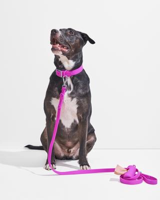 Show full view: Wild One Adjustable Waterproof Flex-Poly Coated Nylon Dog Collar, Orchid, Large slide 5 of 9