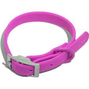 Wild One Adjustable Waterproof Flex-Poly Coated Nylon Dog Collar, Orchid, Small