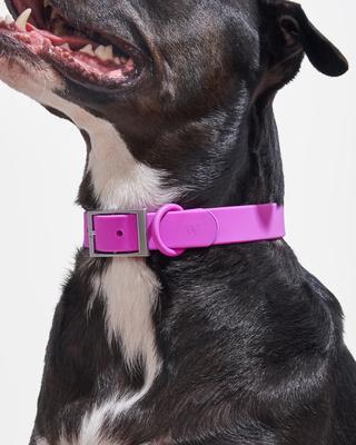 Show full view: Wild One Adjustable Waterproof Flex-Poly Coated Nylon Dog Collar, Orchid, Small slide 4 of 10