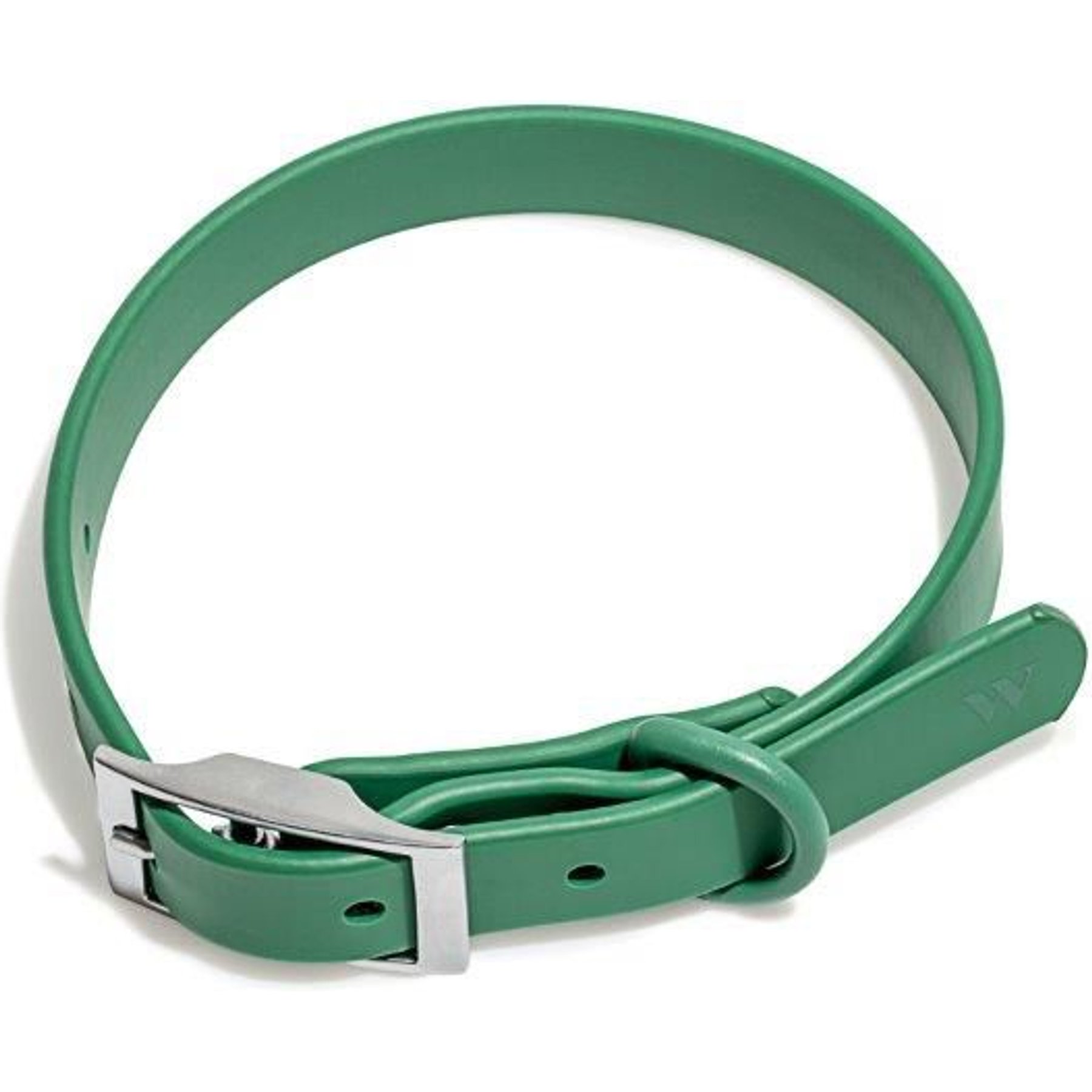 Wild One Adjustable Waterproof Flex-Poly Coated Nylon Dog Collar, Spruce, Large