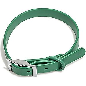 Wild One Adjustable Waterproof Flex-Poly Coated Nylon Dog Collar, Spruce, Large