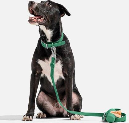 Show full view: Wild One Adjustable Waterproof Flex-Poly Coated Nylon Dog Collar, Spruce, Large slide 3 of 7
