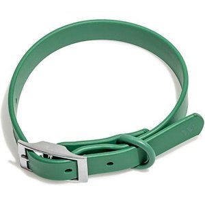 Wild One Adjustable Waterproof Flex-Poly Coated Nylon Dog Collar, Spruce, Medium