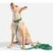 Show in main carousel: Wild One Adjustable Waterproof Flex-Poly Coated Nylon Dog Collar, Spruce, Medium slide 3 of 7