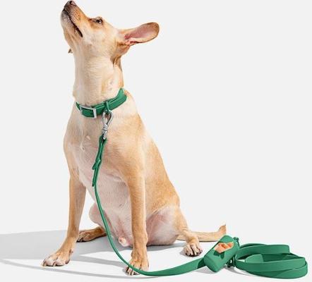 Show full view: Wild One Adjustable Waterproof Flex-Poly Coated Nylon Dog Collar, Spruce, Medium slide 3 of 7