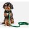 Show in main carousel: Wild One Adjustable Waterproof Flex-Poly Coated Nylon Dog Collar, Spruce, Small slide 3 of 7