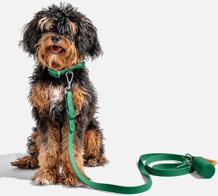 Show full view: Wild One Adjustable Waterproof Flex-Poly Coated Nylon Dog Collar, Spruce, Small slide 3 of 7